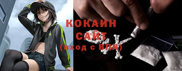 винт Горняк