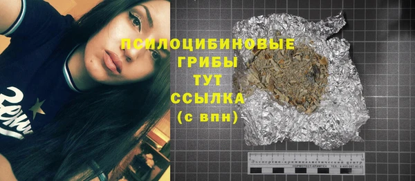 экстази Гусиноозёрск