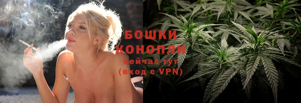 винт Горняк