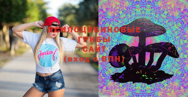 MDMA Горнозаводск