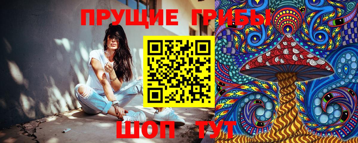 купить наркоту  Вход с VPN  Галлюциногенные грибы Magic Shrooms  Можайск  Галлюциногенные грибы Psilocybine cubensis 